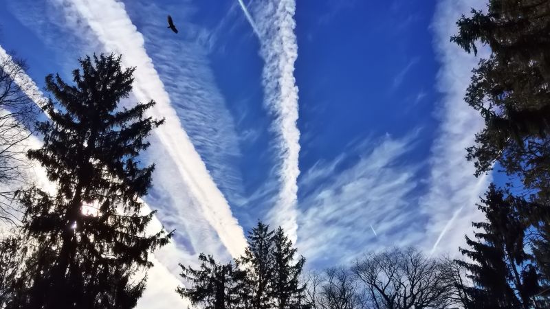 Illustration for article titled Airplane Contrails Have Surprising Effect on the Atmosphere